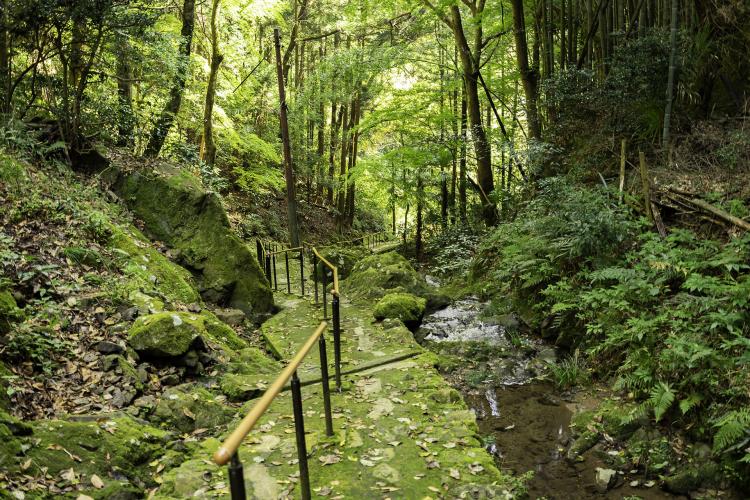 乙女峠マリア聖堂