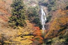 神庭の滝