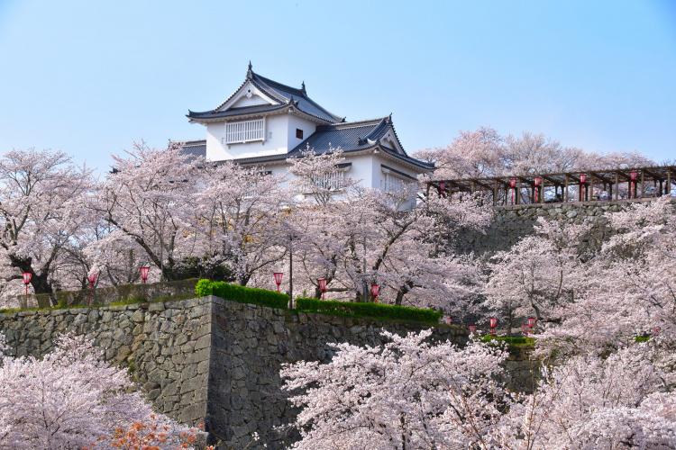 津山城(鶴山公園)