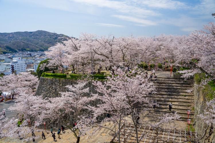 津山城(鶴山公園)