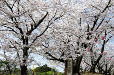 早島公園