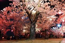 早島公園