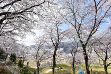 八千代湖（土師ダム）