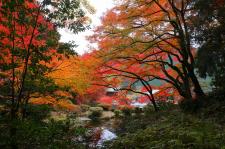 吉水園