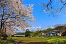 国営備北丘陵公園