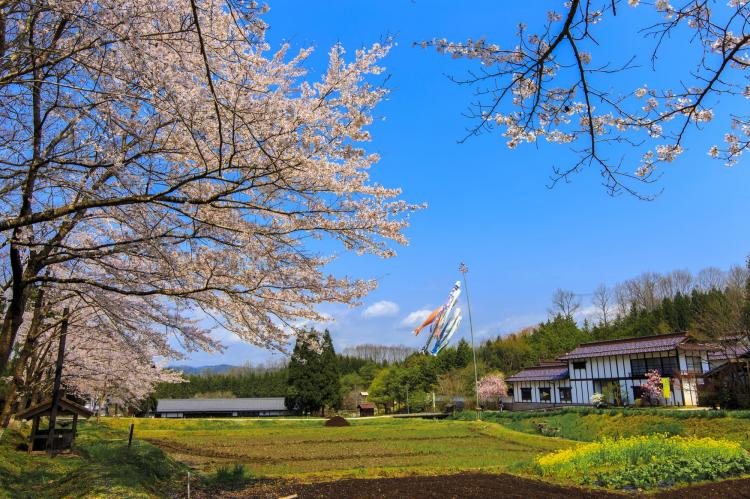 国営備北丘陵公園
