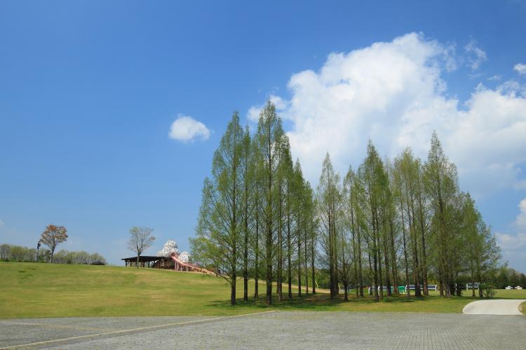 国営備北丘陵公園