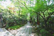 三滝寺