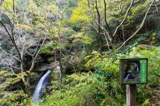 三滝寺