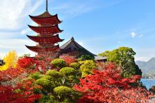 宮島（厳島神社地区）