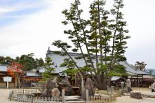 宮島（厳島神社地区）