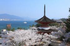 宮島（厳島神社地区）