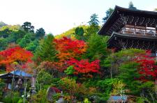 宮島（厳島神社地区）