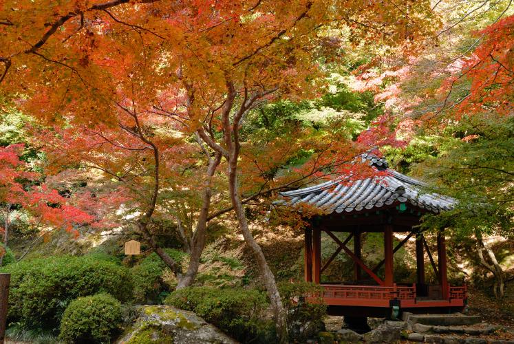 宮島(弥山地区)