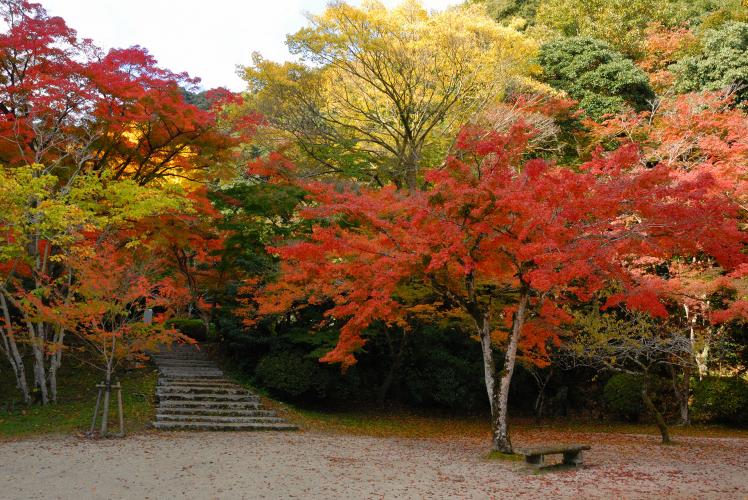 宮島(弥山地区)