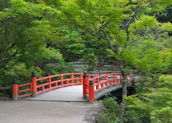 宮島(弥山地区)