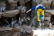 宮島水族館