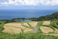 東後畑棚田