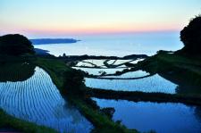 東後畑棚田