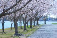 常盤公園