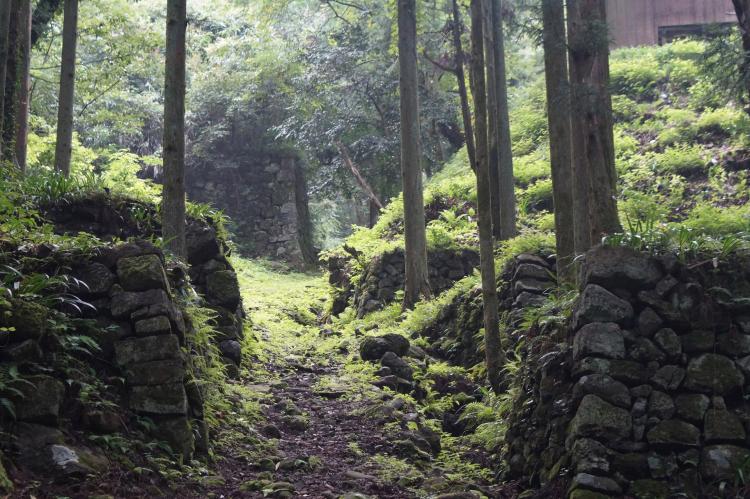 萩往還 ドライブコンサルタント