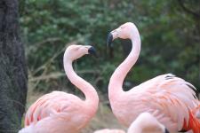 ときわ動物園