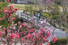冠山総合公園