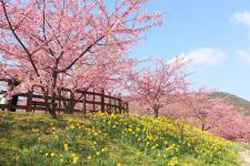上関城山歴史公園