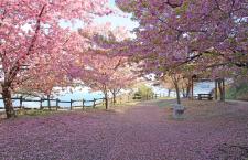 上関城山歴史公園