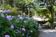 東大寺別院阿弥陀寺