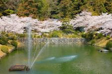 吉香公園