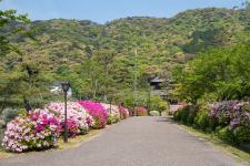 吉香公園