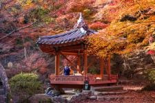 紅葉谷公園