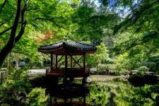 紅葉谷公園