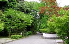紅葉谷公園