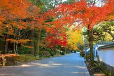 紅葉谷公園