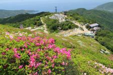 大平山山頂公園