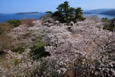 笠山
