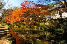 大寧寺