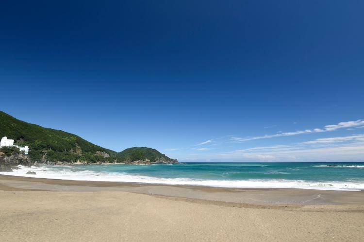 日和佐うみがめ博物館カレッタ