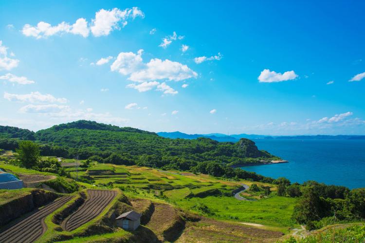 豊島
