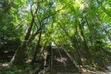 根香寺