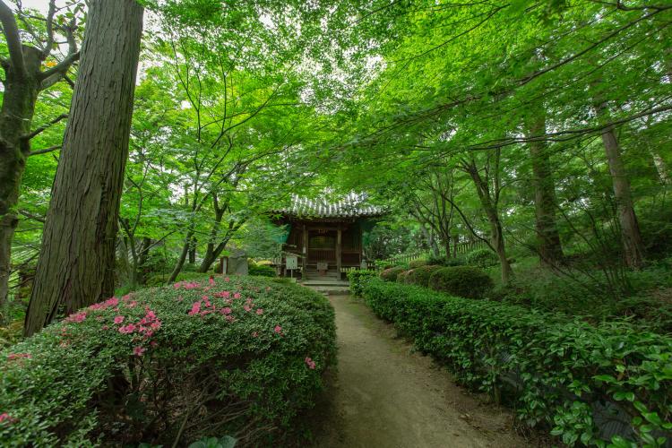 白峯寺