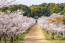 亀鶴公園
