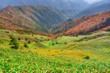 石鎚山