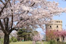 松山総合公園
