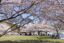 松山総合公園