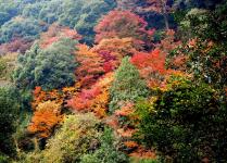 白滝公園