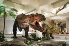 愛媛県総合科学博物館