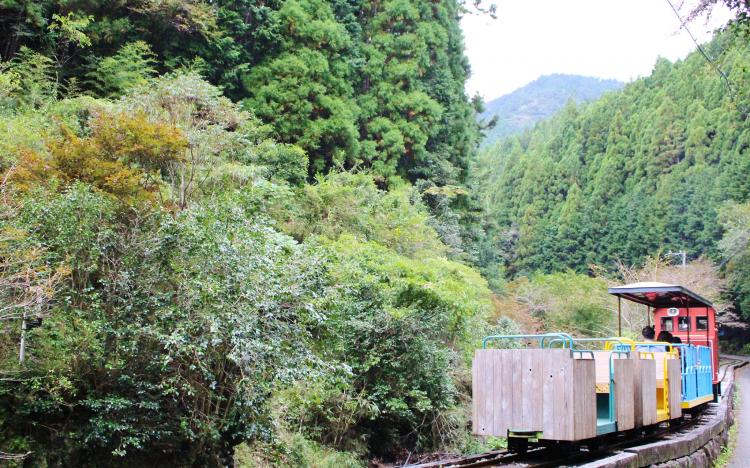 馬路森林鉄道